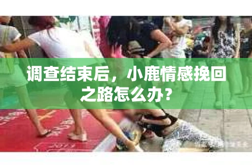 调查结束后，小鹿情感挽回之路怎么办？
