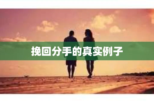 挽回分手的真实例子