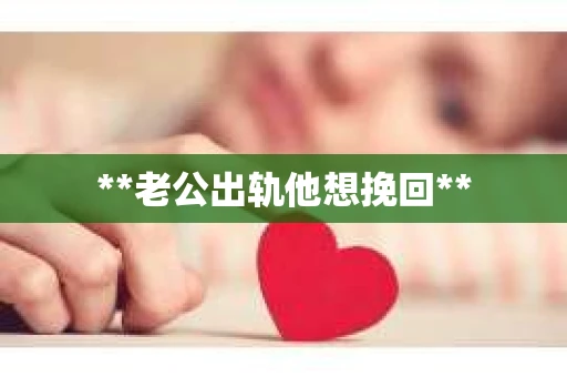 **老公出轨他想挽回**