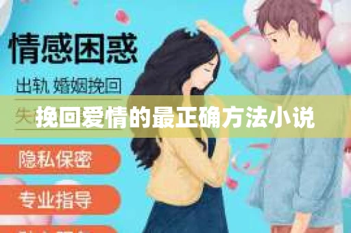 挽回爱情的最正确方法小说