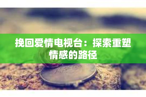 挽回爱情电视台：探索重塑情感的路径