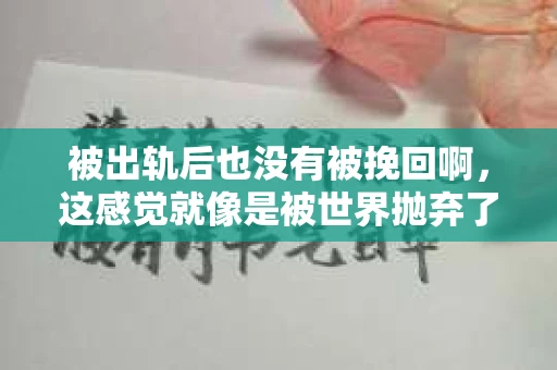 被出轨后也没有被挽回啊，这感觉就像是被世界抛弃了一样。我曾经也经历过这样的事情，那种心如刀割的痛，至今仍记忆犹新。今天，我想和大家聊聊这个话题，希望能给那些正在经历或者曾经经历过类似痛苦的人一些安慰和帮助。