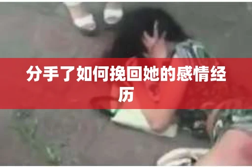 分手了如何挽回她的感情经历