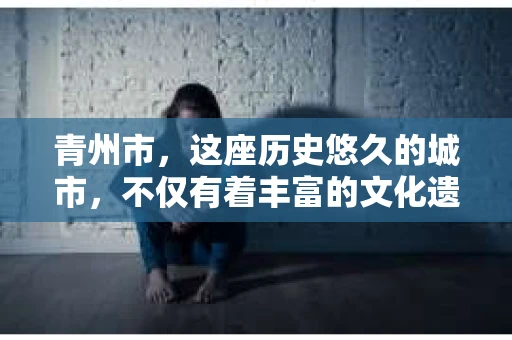 青州市，这座历史悠久的城市，不仅有着丰富的文化遗产，也有着现代生活的便捷。那么，问题来了——青州市有私家侦探公司吗？这个问题，对于需要侦探服务的人来说，无疑至关重要。接下来，我就来为大家揭开这个谜底。