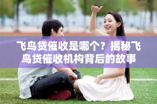 飞鸟贷催收是哪个？揭秘飞鸟贷催收机构背后的故事