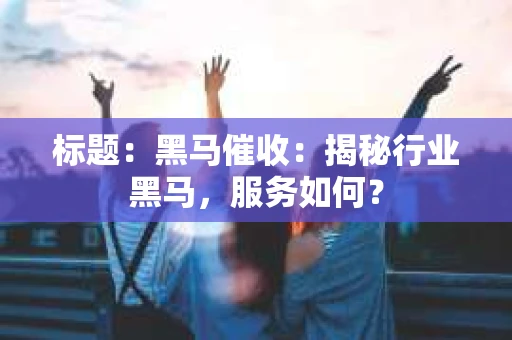标题：黑马催收：揭秘行业黑马，服务如何？