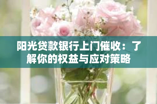 阳光贷款银行上门催收：了解你的权益与应对策略