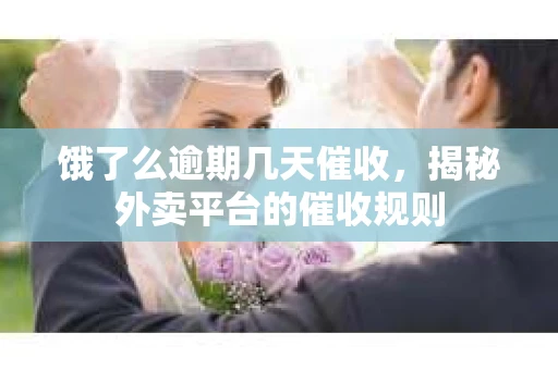 饿了么逾期几天催收，揭秘外卖平台的催收规则