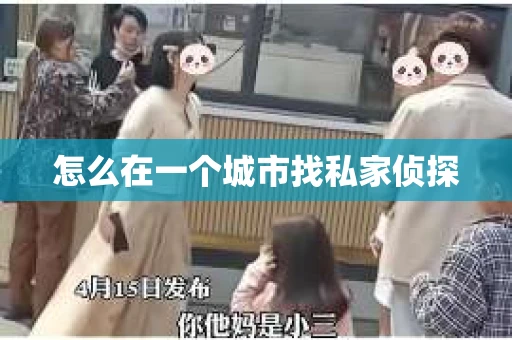 怎么在一个城市找私家侦探