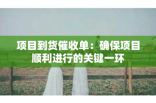 项目到货催收单：确保项目顺利进行的关键一环