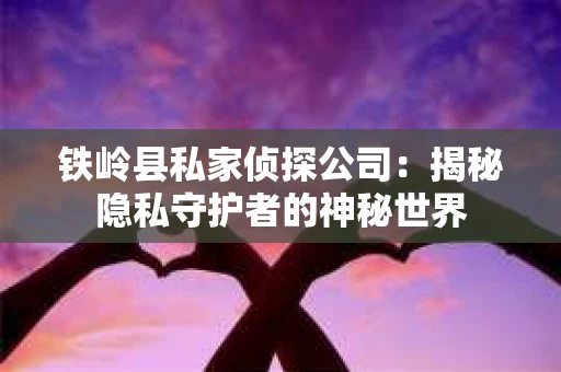 铁岭县私家侦探公司：揭秘隐私守护者的神秘世界