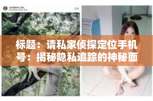 标题：请私家侦探定位手机号：揭秘隐私追踪的神秘面纱