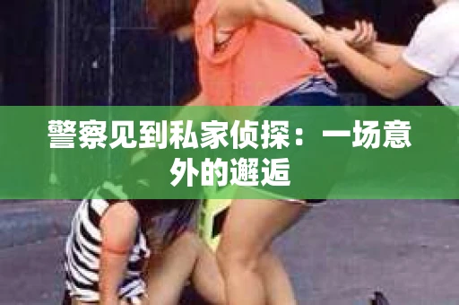 警察见到私家侦探：一场意外的邂逅