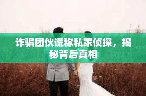 诈骗团伙谎称私家侦探，揭秘背后真相