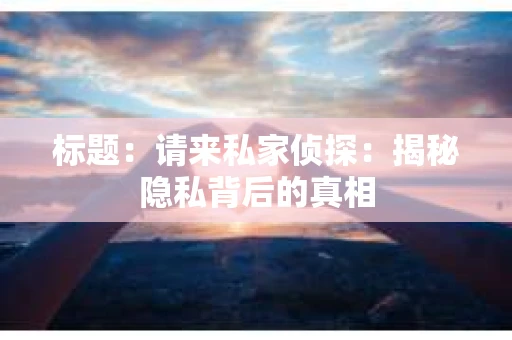 标题：请来私家侦探：揭秘隐私背后的真相