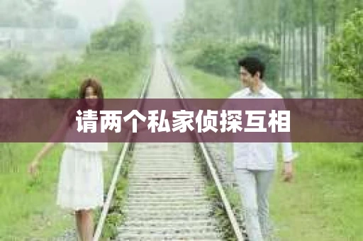 请两个私家侦探互相