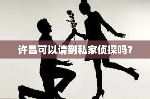 许昌可以请到私家侦探吗？