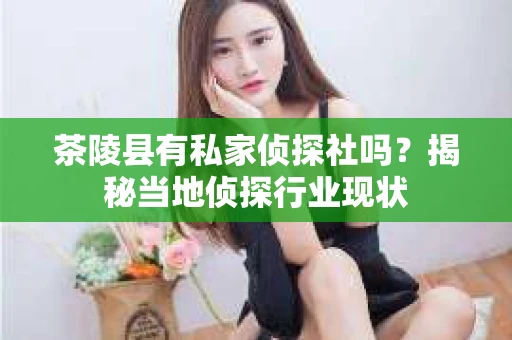 茶陵县有私家侦探社吗？揭秘当地侦探行业现状