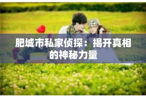 肥城市私家侦探：揭开真相的神秘力量