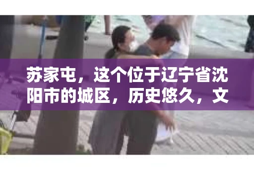 苏家屯，这个位于辽宁省沈阳市的城区，历史悠久，文化底蕴深厚。近年来，随着社会的发展，人们对于私家侦探的需求也逐渐增加。那么，苏家屯有私家侦探吗？今天，我们就来聊聊这个话题。