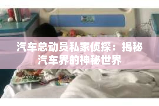 汽车总动员私家侦探：揭秘汽车界的神秘世界