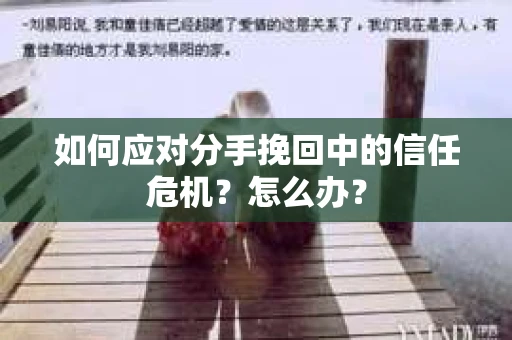如何应对分手挽回中的信任危机？怎么办？