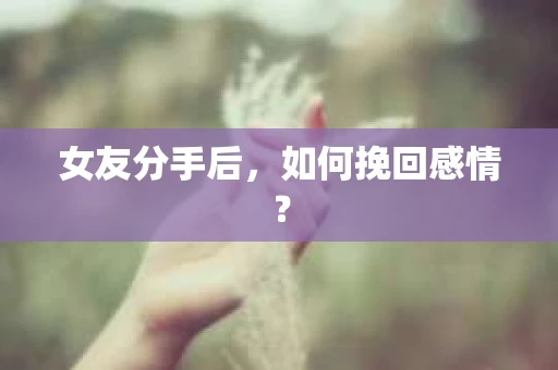 女友分手后，如何挽回感情？