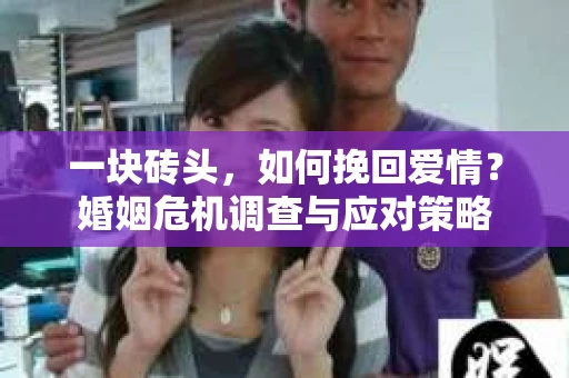 一块砖头,如何挽回爱情?婚姻危机调查与应对策略 一块砖头,如何挽回爱情?婚姻危机调查与应对策略