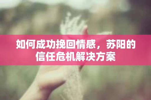 如何成功挽回情感，苏阳的信任危机解决方案